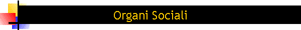 Organi Sociali